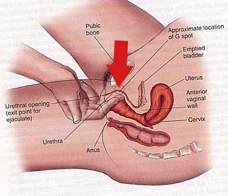 trouver le point G et donner orgasme vaginal